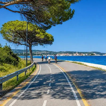 Lux Solis - Seaview - New! Κόπερ